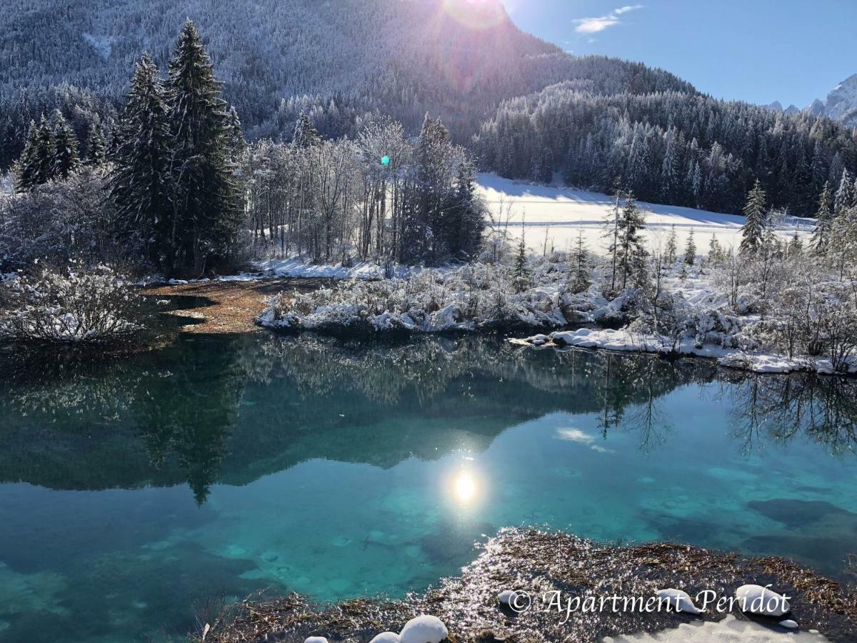 Vila Mojca Apartma Peridot - Center Kranjska Gora Luaran gambar