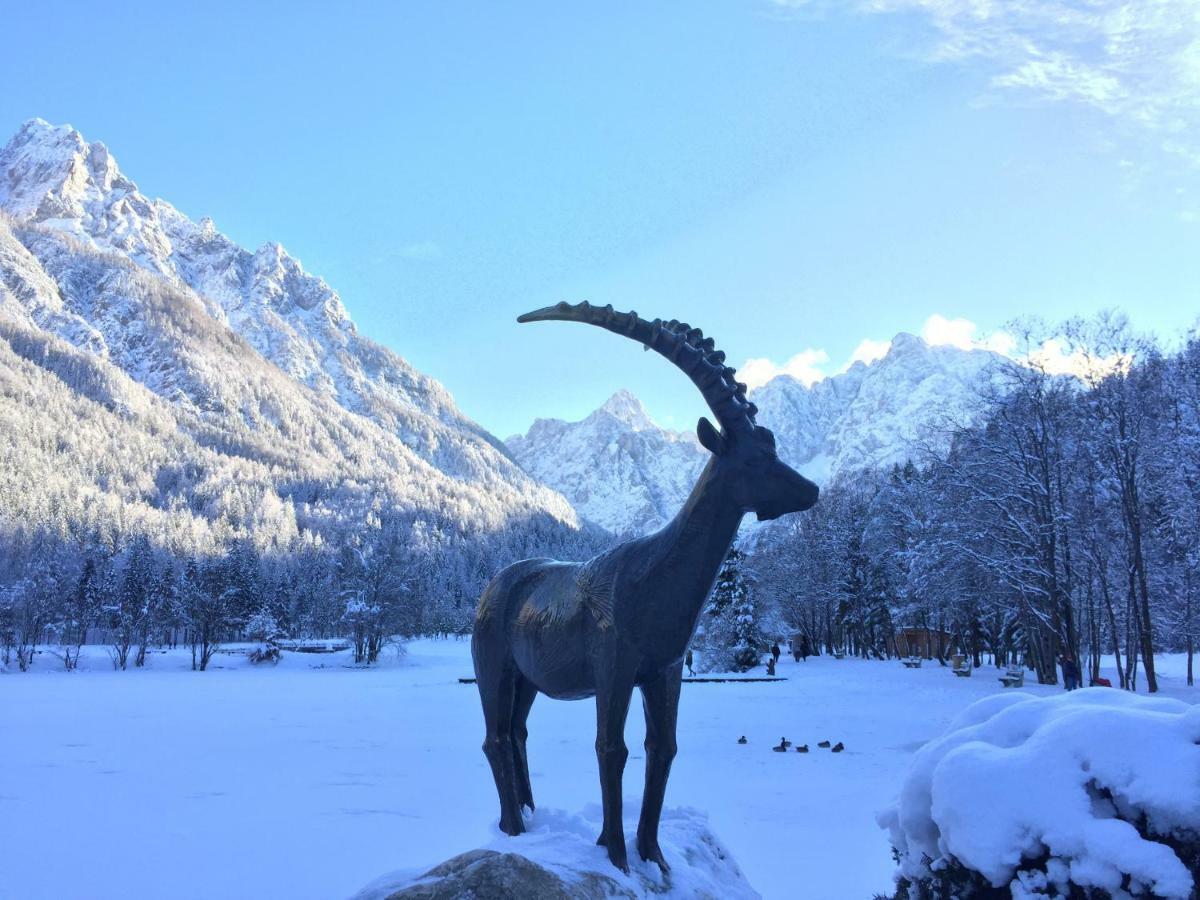 Vila Mojca Apartma Peridot - Center Kranjska Gora Luaran gambar