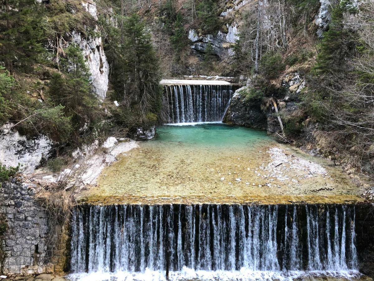 Vila Mojca Apartma Peridot - Center Kranjska Gora Luaran gambar