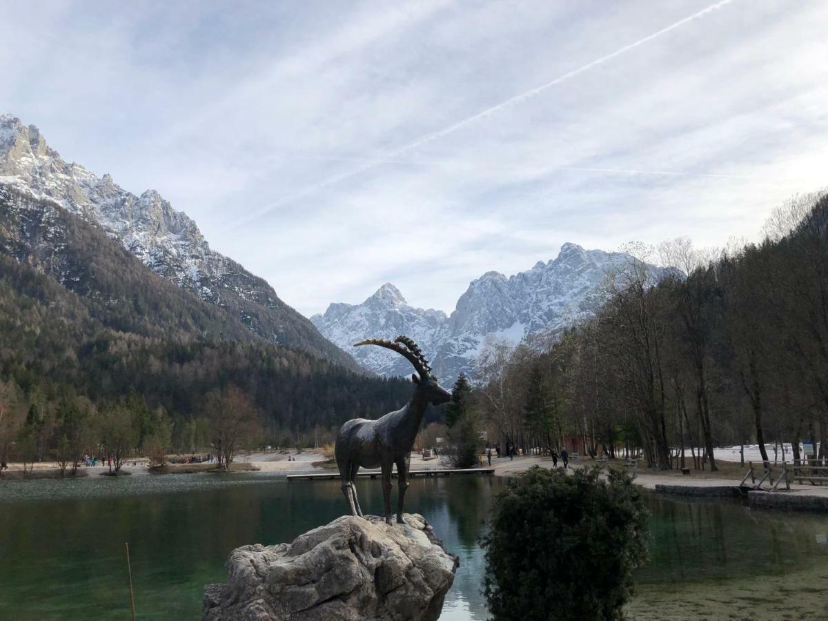Vila Mojca Apartma Peridot - Center Kranjska Gora Luaran gambar