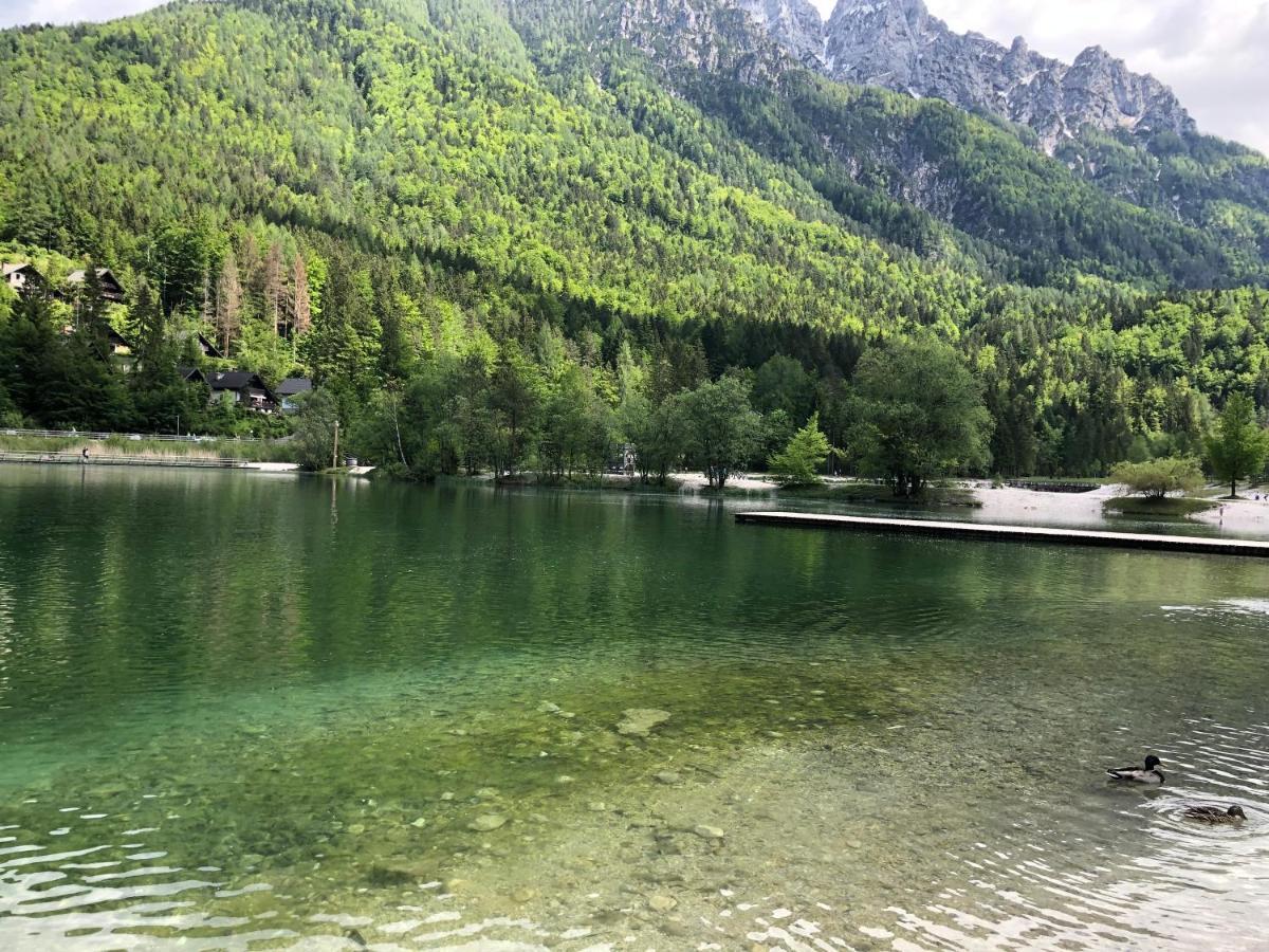 Vila Mojca Apartma Peridot - Center Kranjska Gora Luaran gambar